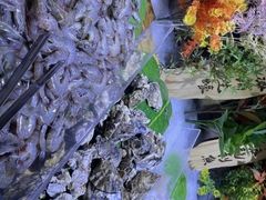 -聚盛源蒸汽海鲜火锅烤肉自助(巨川金海岸购物广场店)