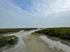 -北海金海湾红树林生态旅游区