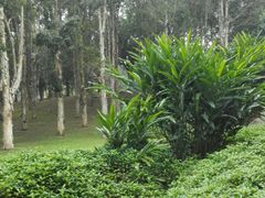 -福建鲤鱼洲酒店