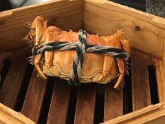 -圣丰索菲特·2 On 988 Café 自助餐厅