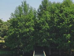 -尚贤河湿地