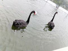 -行者书屋大堂吧 ·下午茶(南京圣和府邸酒店)