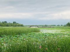 -野鸭湖国家湿地公园