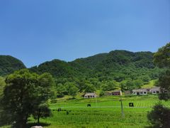 -关山草原