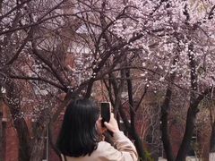 -吉林大学(南岭校区)