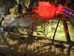 -萌宠奇缘(荣鼎店)