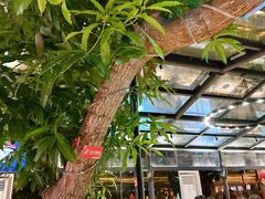 -海岛八号龙虾烧烤田鸡(蓝天路总店)