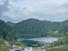 -武陵山森林公园