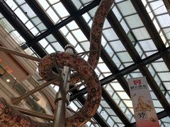-巴黎春天(浦建店)