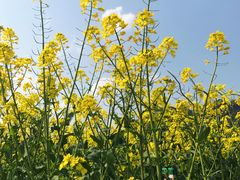 -湘湖金融镇