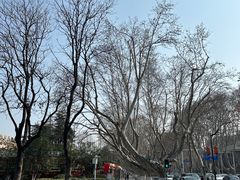 -南京维景国际大酒店(南京博物院店)