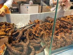 -九多肉多(唐宫路店)