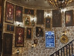 -雪灵魔法世界SHELLY’S TAROT(大良桂畔里店)