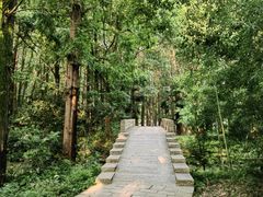 -同里国家湿地公园
