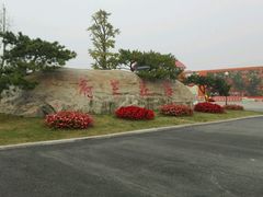 -荷兰花海