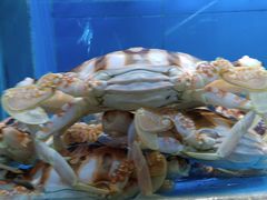 -钱山海鲜大排档