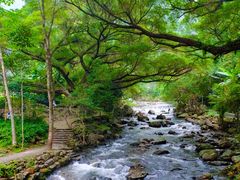 -广州市石门国家森林公园