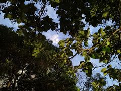 -河南省体育场馆中心游泳馆
