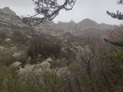 -崂山巨峰游览区