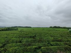 -凤凰沟景区