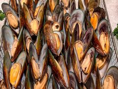 -广州粤海喜来登酒店