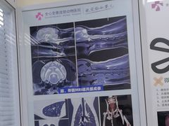 -全心全意连锁动物医院·微创中心·内科急重症·心脏专科(丰管路店)