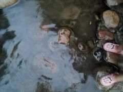 -成都市活水公园