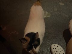 -江湖边·小生活