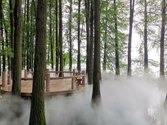 -东湖落雁景区