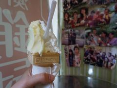 -柠檬车露(卖草地店)