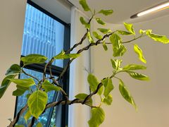 -赛百味SUBWAY(万达西地店)