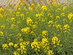 -中国天府农业博览园