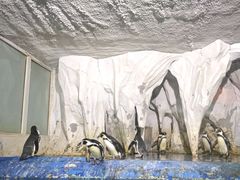 -太平洋海底世界