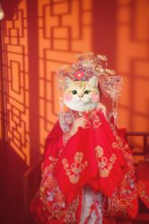 -金夫人婚纱摄影(华南店)