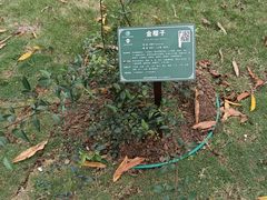 -广西壮族自治区药用植物园