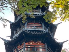 -上海佘山国家森林公园西佘山园