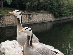 -北京动物园