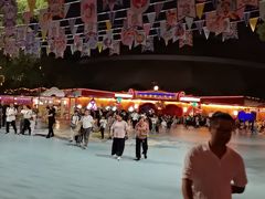 -广州长隆国际大马戏