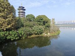 -洋湖国家湿地公园