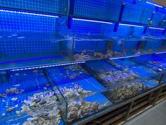 -前王院•巧克力海鲜市集餐厅(万平口店)