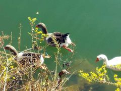 -丹东天桥沟景区