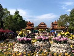 -富乐山