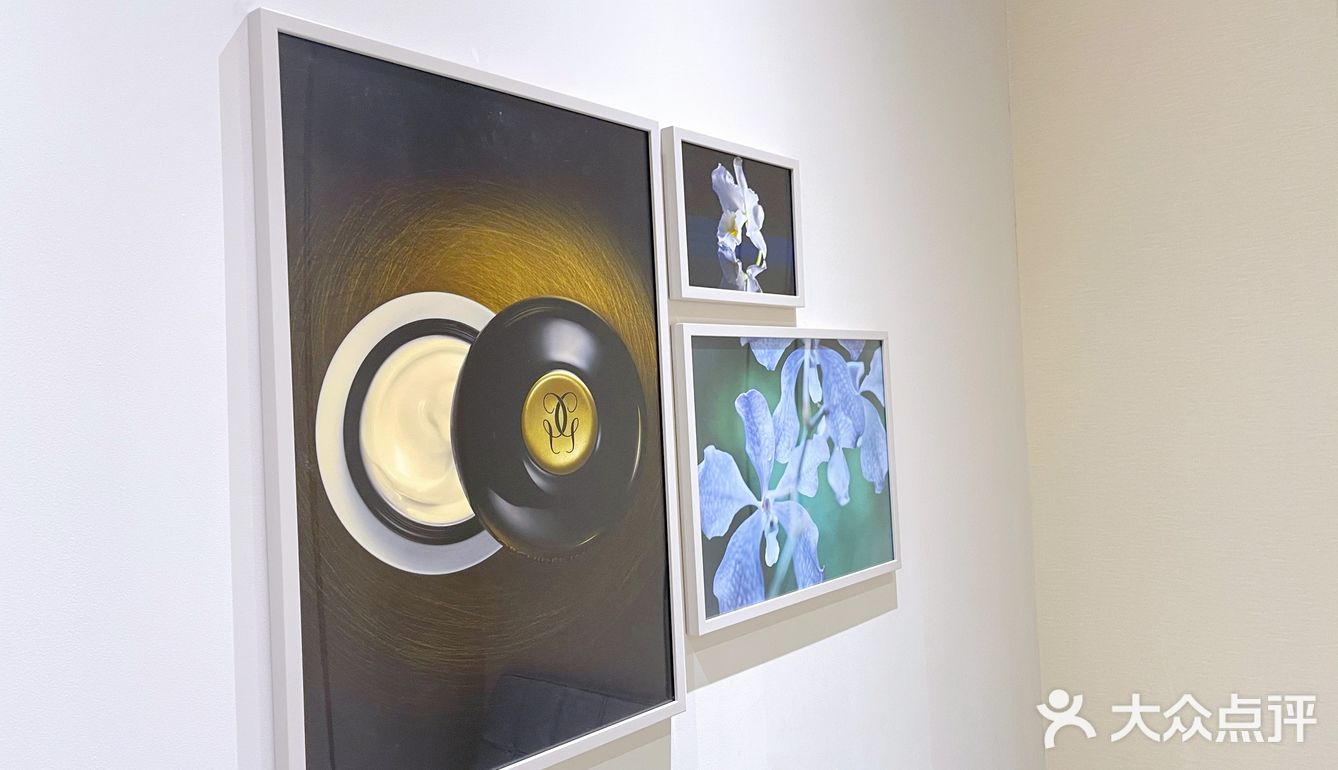 免费的娇兰兰花护理它不香吗？！