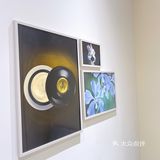 免费的娇兰兰花护理它不香吗？！