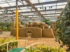 -南宫五洲植物乐园