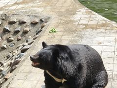 -攀枝花公园