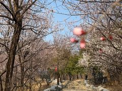 -阳台山自然风景区