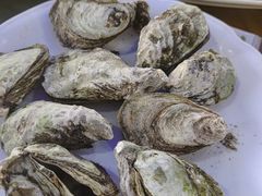 -海之鲜大排档(东山海鲜金銮湾店)