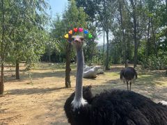 -大连森林动物园