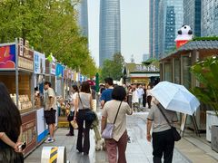 -合景·悠方(成都店)